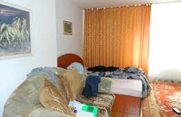 Apartament 2 camere, 67 mp, decomandat, gradina, parcare, zona C-tin Brancusi