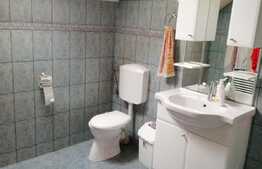 De vanzare casa individuala, 290 mp, teren 750 mp, front 24 ml, zona linistita