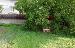 De vanzare casa individuala, 290 mp, teren 750 mp, front 24 ml, zona linistita