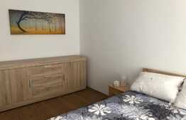 Apartament 2 camere, 50 mp, zona strazii Constantin Brancusi