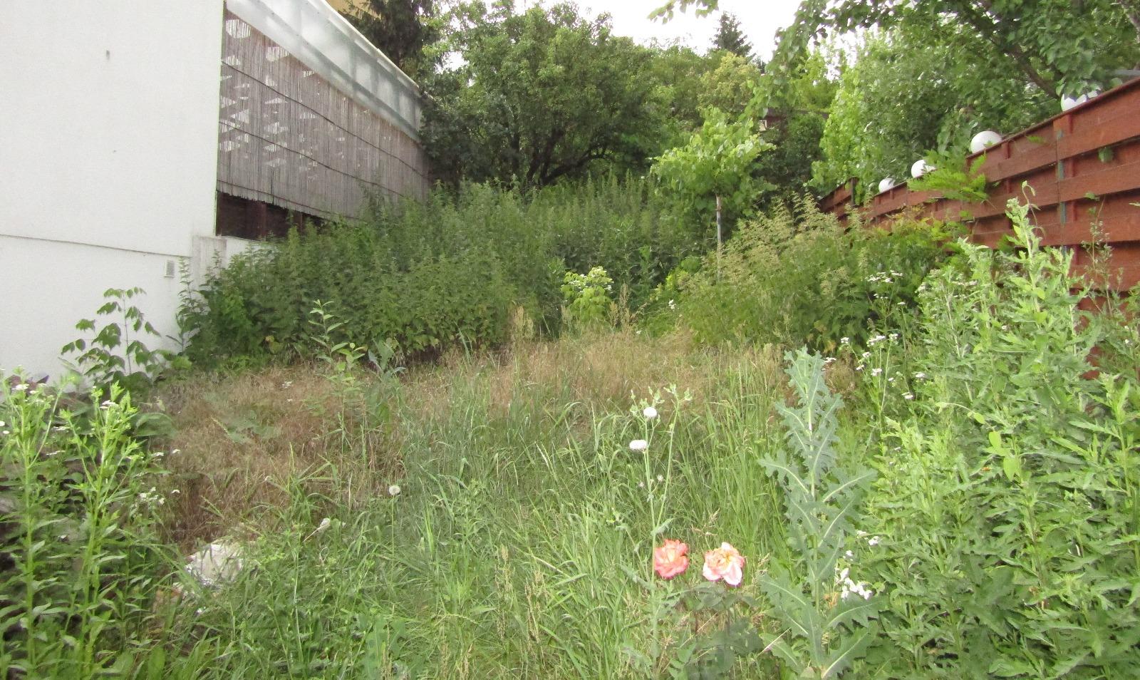 Casa de vânzare 2 camere Manastur - 32170CV | BLITZ Cluj-Napoca | Poza4