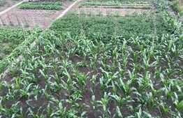 Casa individuala La Pret de Apartament,262 mp, teren 500 mp, semifinisat, zona Apahida