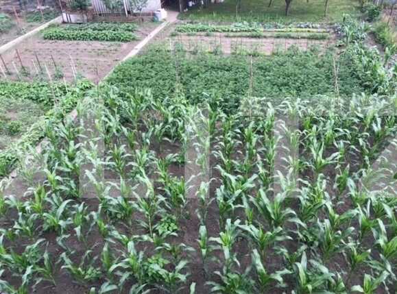 Casa de vânzare 8 camere Apahida - 32176CV | BLITZ Cluj-Napoca | Poza7