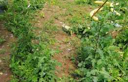 Casa de vanzare 133 mp, teren 274 mp, front 8 ml, zona linistita