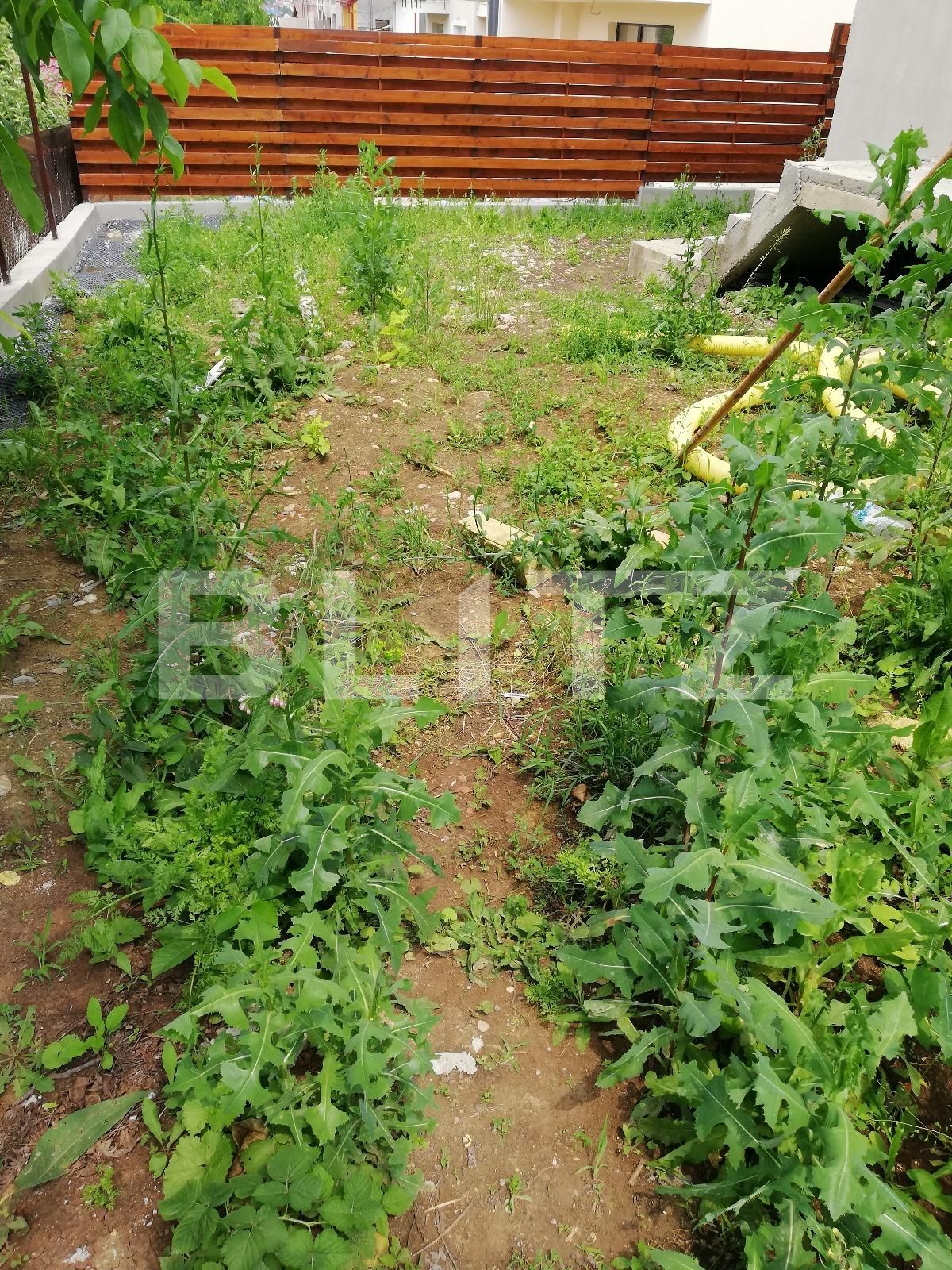 Casa de vânzare 5 camere Gruia - 32178CV | BLITZ Cluj-Napoca | Poza5