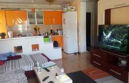 Apartament de vanzare 2 camere, 44,44 mp, zona strazii Florilor!