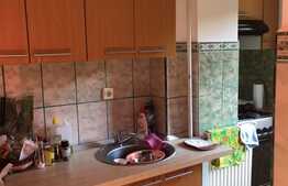 De vanzare garsoniera, 28 mp, balcon, zona Casa Piratilor