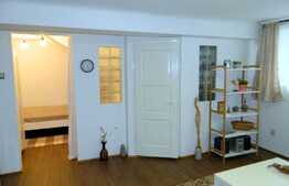 Apartament 2 camere, 30 mp, zona Piata Muzeului