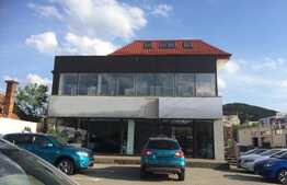 Show room elegant cu parcari