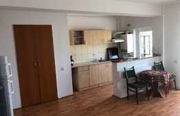 Apartament cu 2 camere, 54 mp, mobilat si utilat! Zona strazii Stejarului!