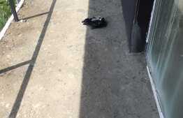 Apartament 2 camere, 60 mp, parcare, zona Donath Park