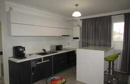 Apartament 2 camere, 45 mp, AC, garaj, terasa 40 mp, imobil nou, Piata Mihai Viteazu