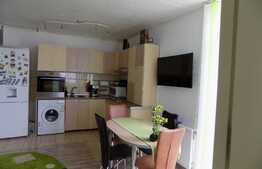 Vanzare 2 camere, 58 mp, loc de parcare! Zona strazii Tineretului!