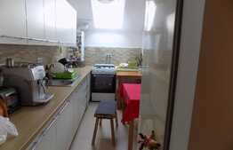 Apartament 3 camere, 67 mp, POD de 67 mp! Zona Terra!