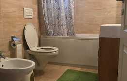 Apartament 3 camere, 67 mp, POD de 67 mp! Zona Terra!