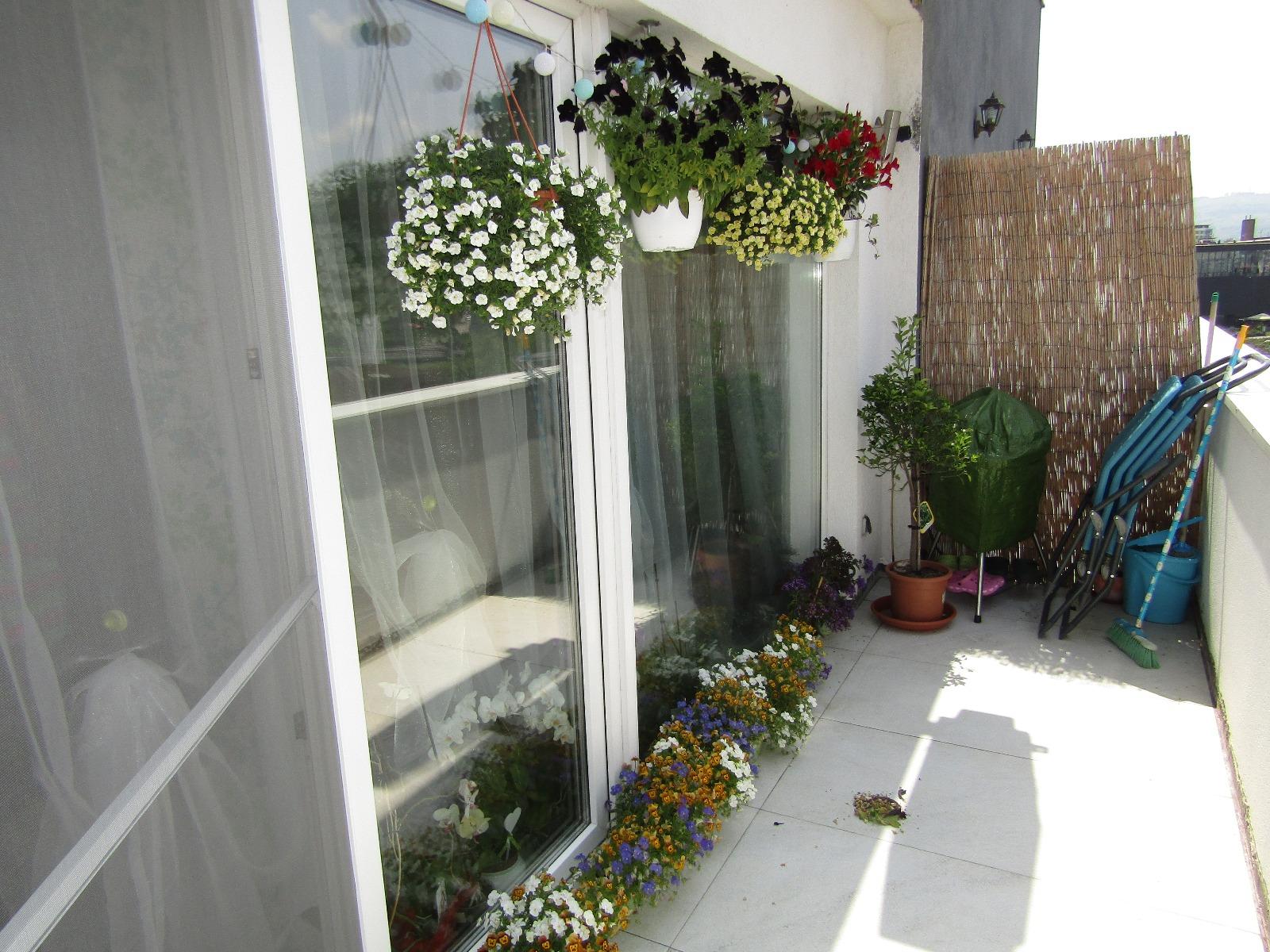 Apartament de vânzare 3 camere Intre Lacuri - 32252AV | BLITZ Cluj-Napoca | Poza11