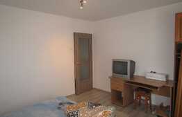 Apartament 1 camera, decomandat, 30 mp, zona Dambovitei