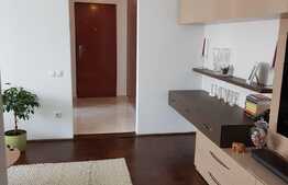 Apartament 2 camere, 50 mp, zona strazii Alexandru Vlahuta