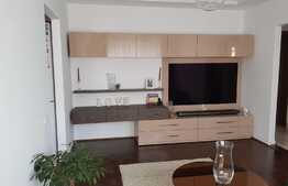 Apartament 2 camere, 50 mp, zona strazii Alexandru Vlahuta