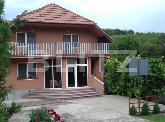 Casa de vânzare 6 camere Dambul Rotund - 32291CV | BLITZ Cluj-Napoca | Poza1