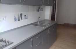 Apartament 2 camere, 58 mp, prima inchiriere, loc de parcare, zona strazii Florilor!
