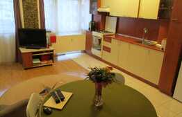 Apartament 2 camere, 45.15 mp, zona Farmec