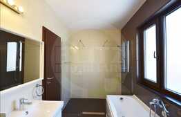 Perfect pentru iubitorii de modernism