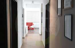 Perfect pentru iubitorii de modernism