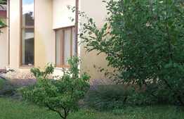 Casa individuala, 150 mp, teren 700 mp, front 50 ml, zona linistita