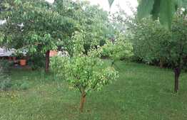 Casa individuala, 150 mp, teren 700 mp, front 50 ml, zona linistita