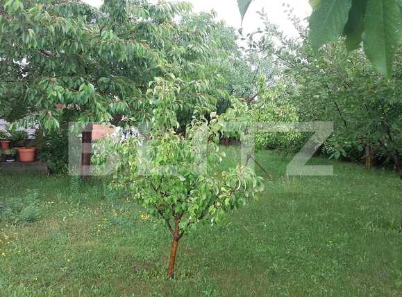 Casa de vânzare 4 camere Făget - 32317CV | BLITZ Cluj-Napoca | Poza7