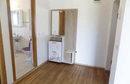 Apartament de inchiriat cu 2 camere, 53 mp, zona Terra!