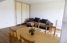 Apartament de inchiriat cu 2 camere, 53 mp, zona Terra!