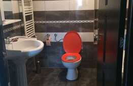 Apartament cu 2 camere, 60 mp, decomandat,imobil nou, mobilat modern, zona Studium Green