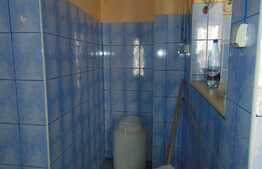 Casa de vanzare 39 mp, zona centrala!