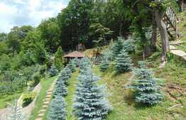 Casa individuala, 245 mp, teren 1000 mp, Faget