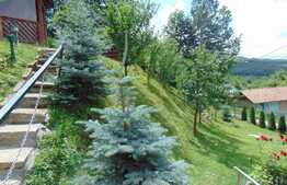 Casa individuala, 245 mp, teren 1000 mp, Faget