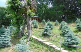 Casa individuala, 245 mp, teren 1000 mp, Faget