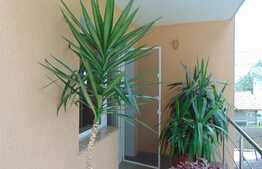 Casa individuala, 245 mp, teren 1000 mp, Faget