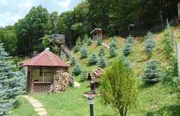 Casa individuala, 245 mp, teren 1000 mp, Faget