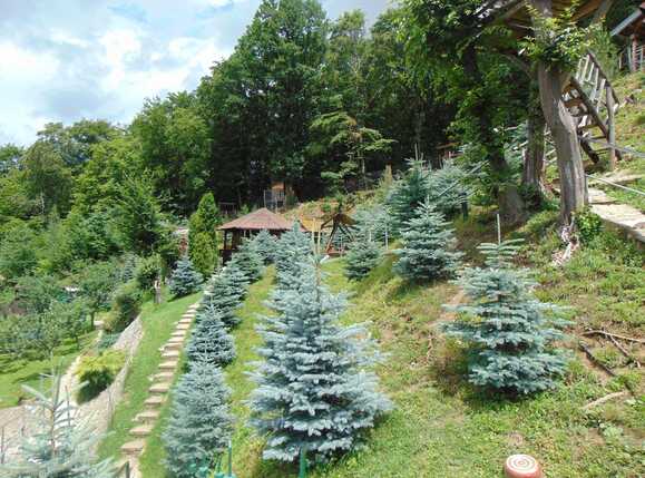 Casa de vânzare 4 camere Făget - 32335CV | BLITZ Cluj-Napoca | Poza3