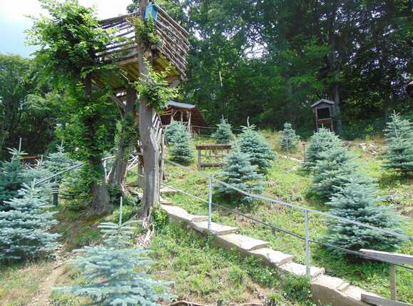 Casa de vânzare 4 camere Făget - 32335CV | BLITZ Cluj-Napoca | Poza4