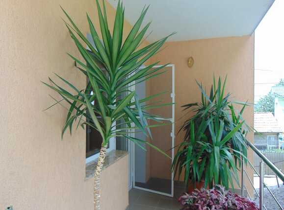 Casa de vânzare 4 camere Făget - 32335CV | BLITZ Cluj-Napoca | Poza6