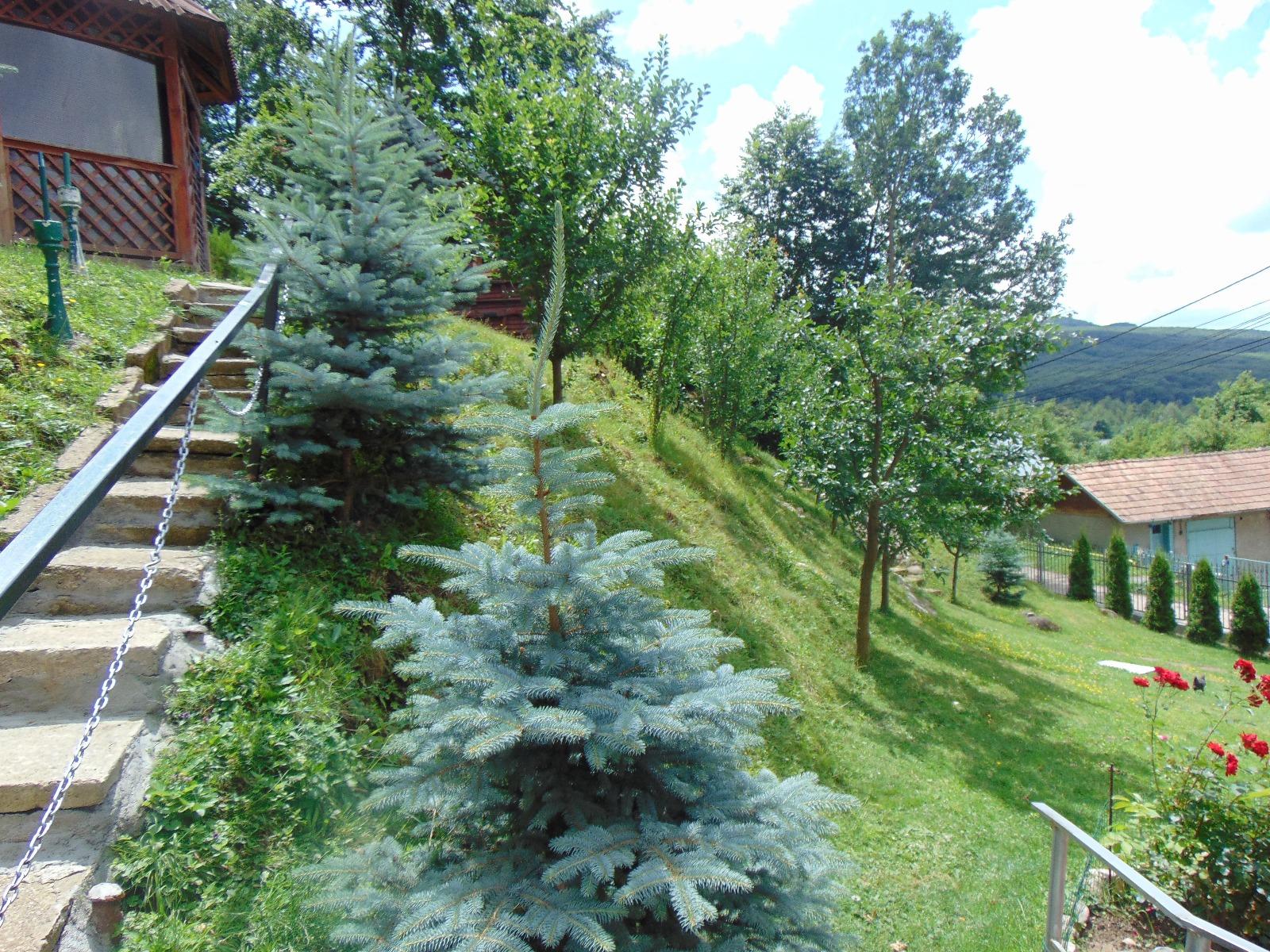 Casa de vânzare 4 camere Făget - 32335CV | BLITZ Cluj-Napoca | Poza2