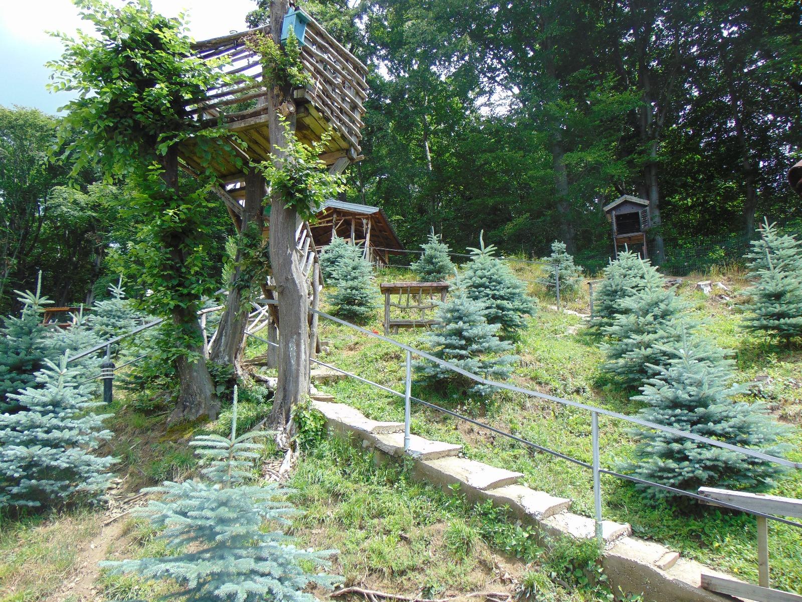 Casa de vânzare 4 camere Făget - 32335CV | BLITZ Cluj-Napoca | Poza4