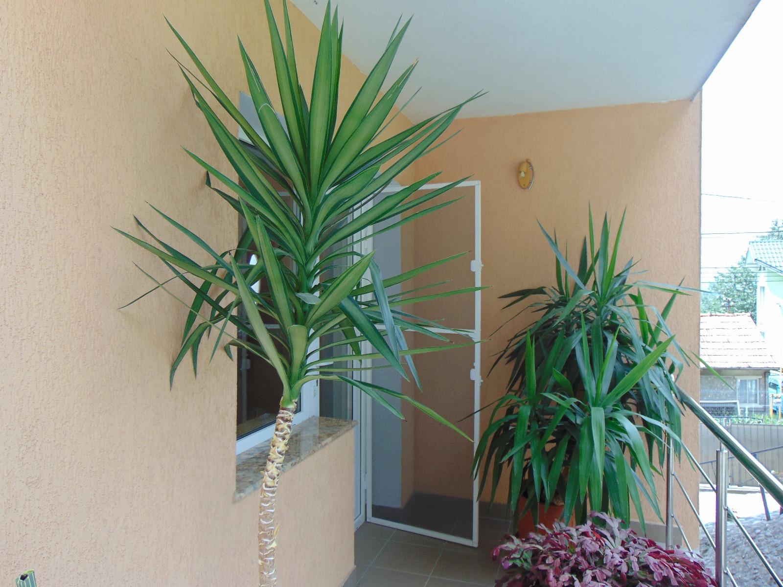 Casa de vânzare 4 camere Făget - 32335CV | BLITZ Cluj-Napoca | Poza6