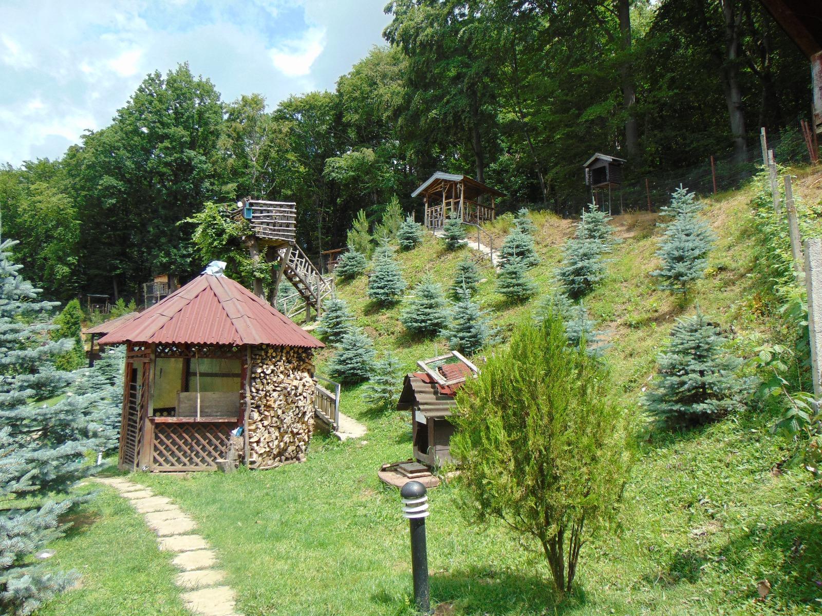 Casa de vânzare 4 camere Făget - 32335CV | BLITZ Cluj-Napoca | Poza5