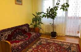 Apartament 2 camere, 54 mp, garaj, zona strazii Constantin Brancusi