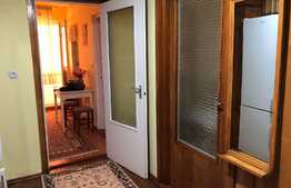 Apartament 2 camere, 54 mp, garaj, zona strazii Constantin Brancusi