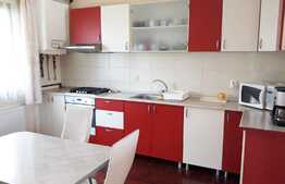 De vanzare casa individuala, 150 mp utili, 750 mp teren!